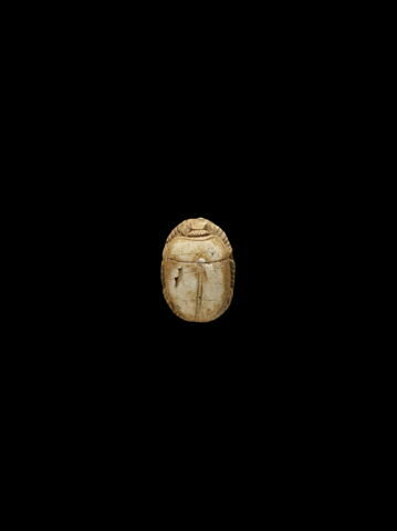 scarabée, image 2/3