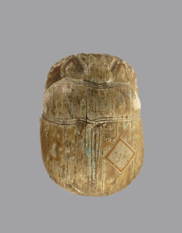 Scarabée commémoratif de la chasse aux lions d'Amenhotep III, image 2/3