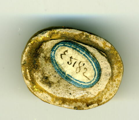 scarabée, image 2/2