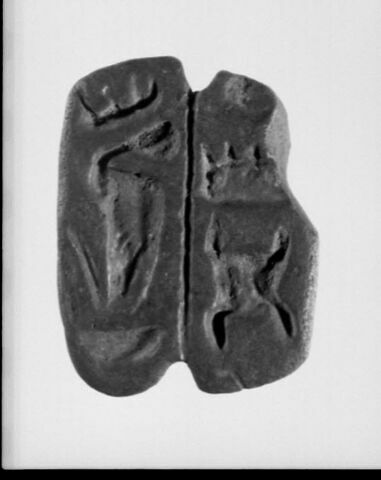 sceau fasciculé ; sceau