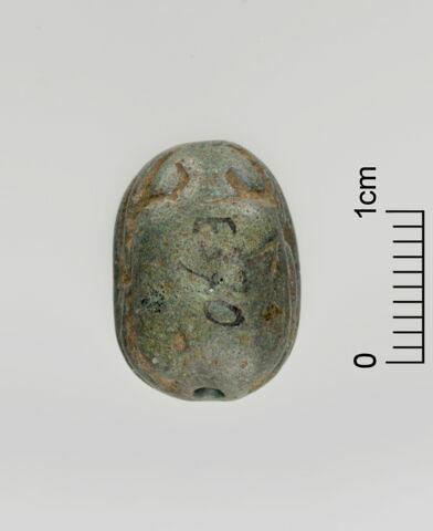scarabée, image 2/3