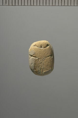 scarabée, image 2/2