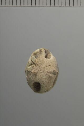 scarabée, image 2/2