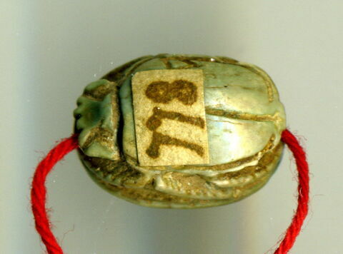 scarabée, image 2/4