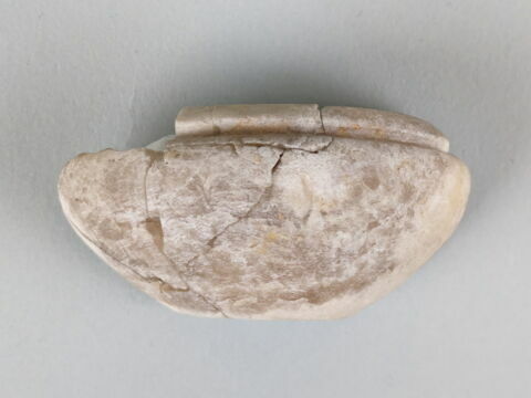 coupelle à lèvre surélevée