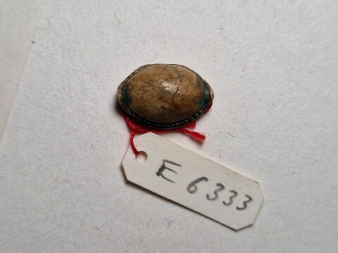 perle cauroïde à cordelette et butées, image 2/5
