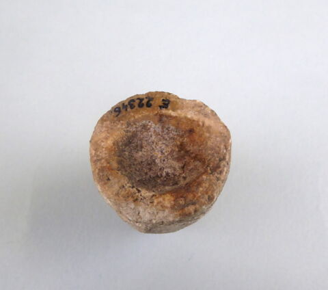 vase simulacre, image 3/3
