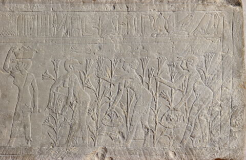 Relief du lirinon, image 2/5