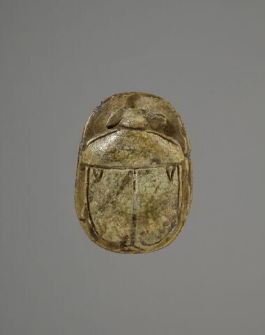 scarabée, image 2/2