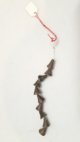 perles ; collier  ; flagellum