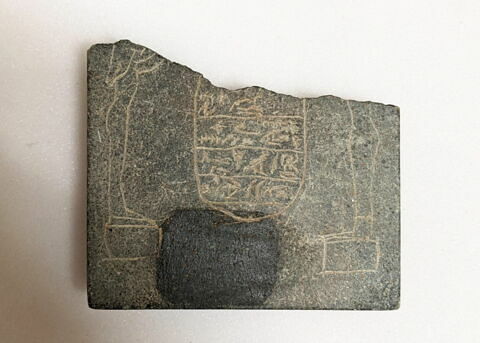 pectoral, image 2/2