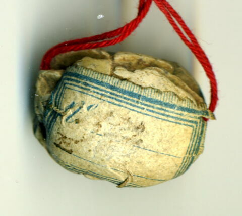 scarabée, image 2/2
