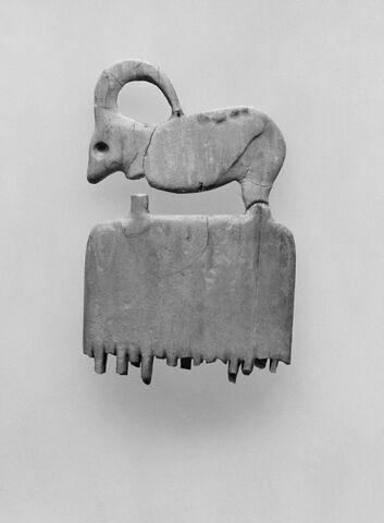peigne, image 3/4