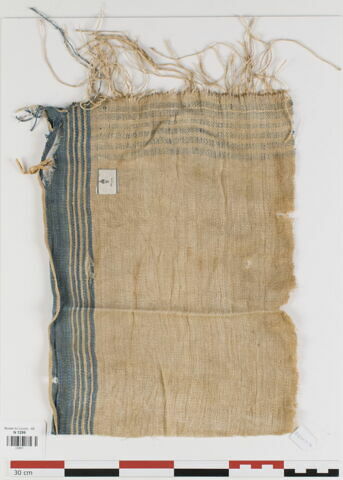 tissu