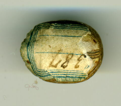 scarabée, image 2/2