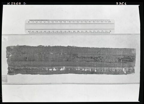 papyrus documentaire, image 2/2