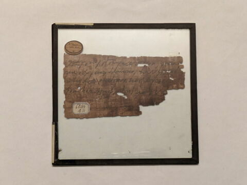papyrus