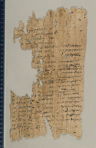 papyrus documentaire, image 2/3