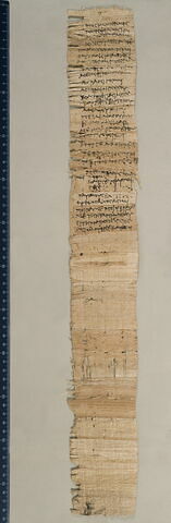 papyrus documentaire, image 3/3