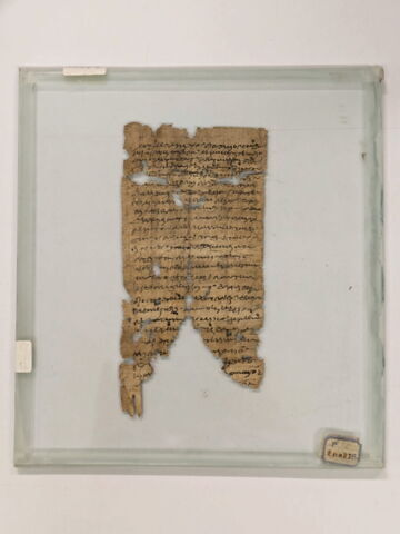 papyrus
