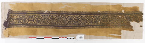 clavus ; fragment