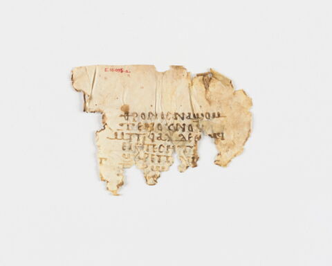 feuillet de codex ; fragment