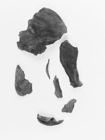 chaussure ; fragments, image 2/3
