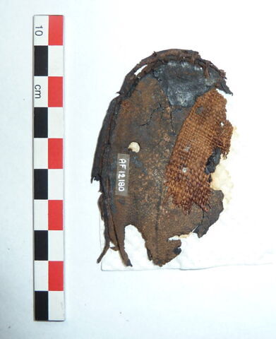 mule ; fragment, image 3/3