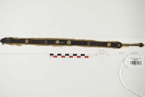 clavus ; fragment