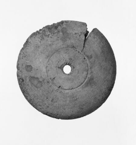 fusaïole ; fragment