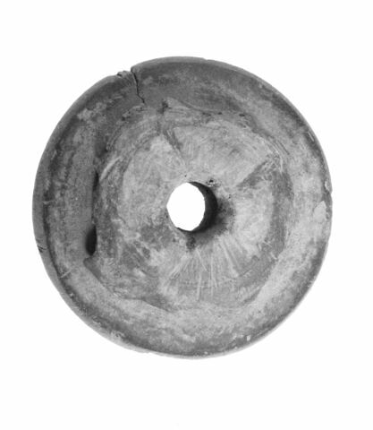 fusaïole, image 2/2