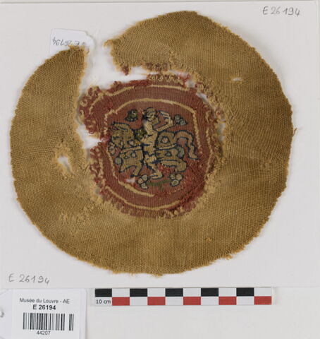 orbiculus ; fragment