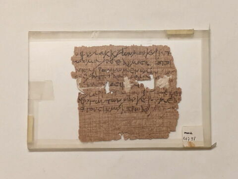 papyrus