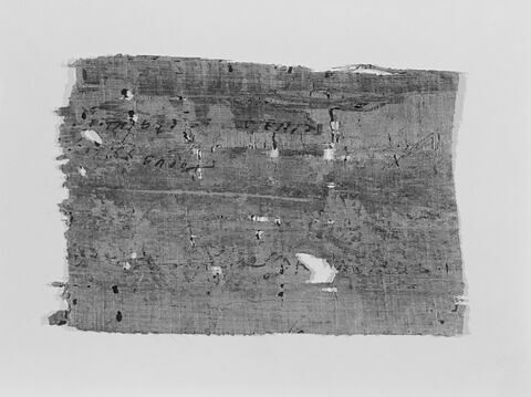 papyrus