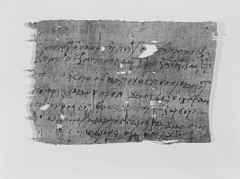 papyrus, image 3/4