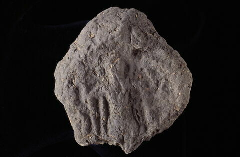 bouchon d'amphore, image 3/3