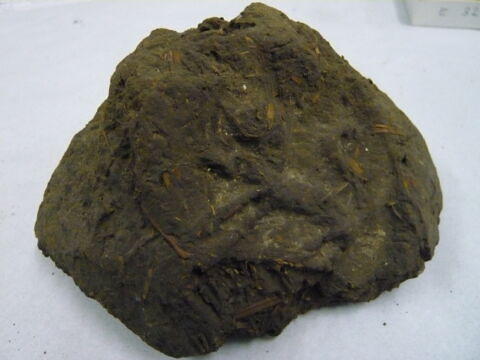 bouchon d'amphore, image 2/3
