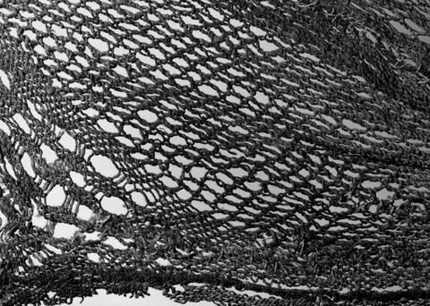 filet de tête ; fragment, image 3/3