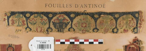 bande d'encolure