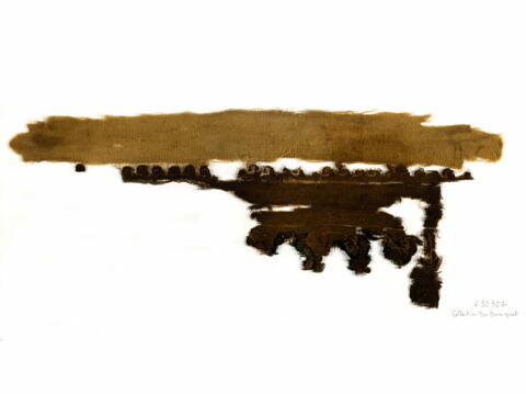 clavus  ; fragment