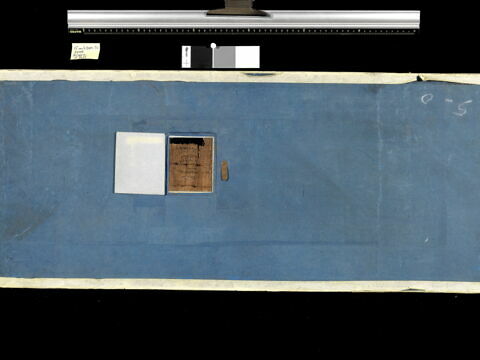 papyrus, image 2/2