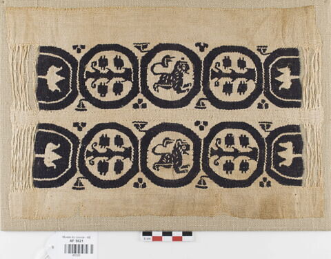 bande de poignet ; fragment