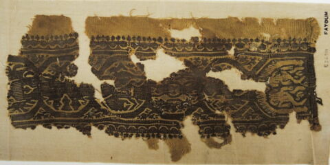 clavus ; fragment, image 2/2