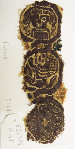 clavus ; fragment, image 2/2