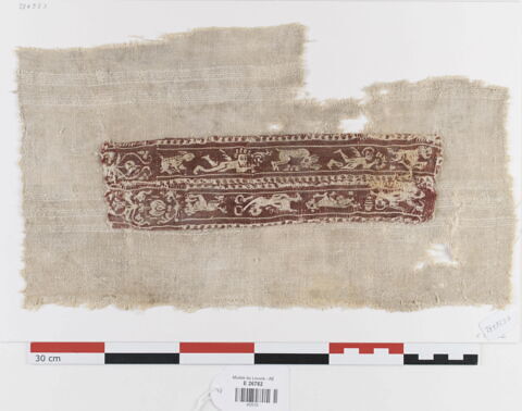 bande de poignet ; fragment