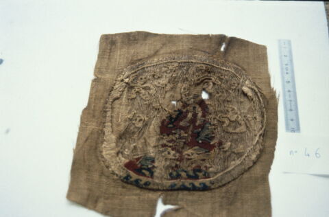 orbiculus ; fragment, image 2/2