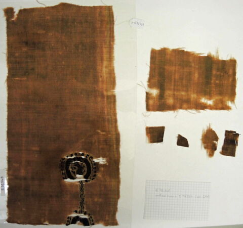 clavus ; fragments, image 2/3