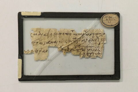 parchemin ; fragments