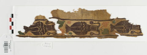 bande décorative d'habillement ; fragment