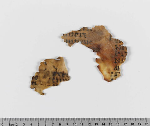 feuillet de codex ; fragments